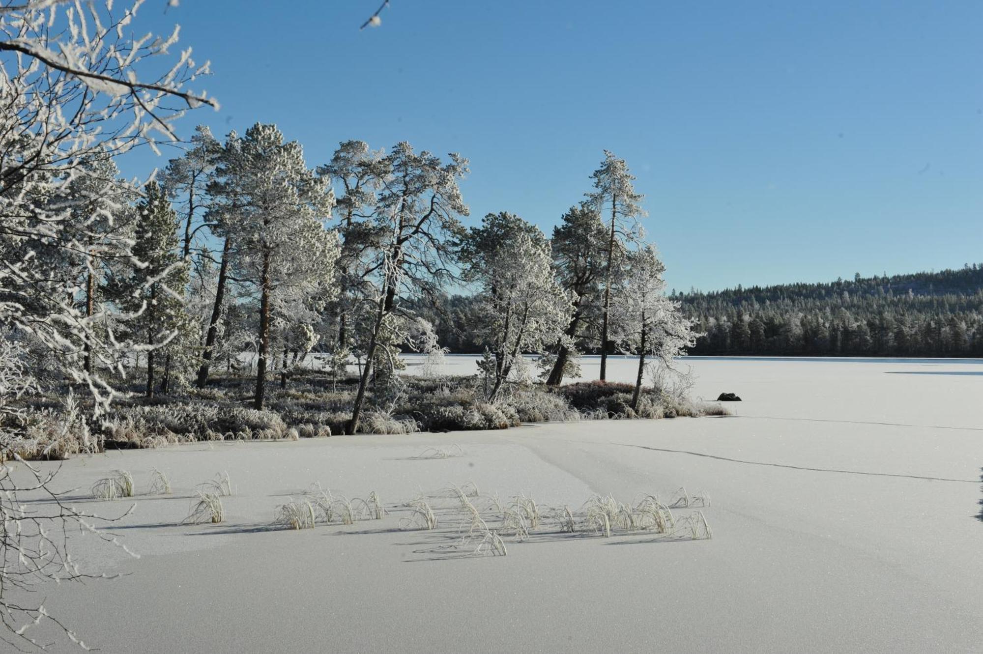 Auroracabin Chalets Saariselka Oda fotoğraf
